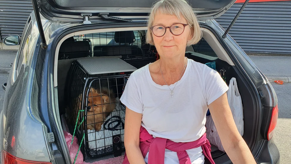 Eivor Dettle, 67, har haft kört bil sen hon var 18 och förvånas över att bilindustrin inte använder sig att kvinnliga krocktestdockor.