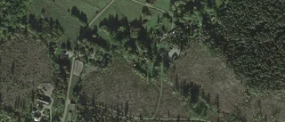 75-åring ny ägare till stuga i Tierp - 1 850 000 kronor blev priset