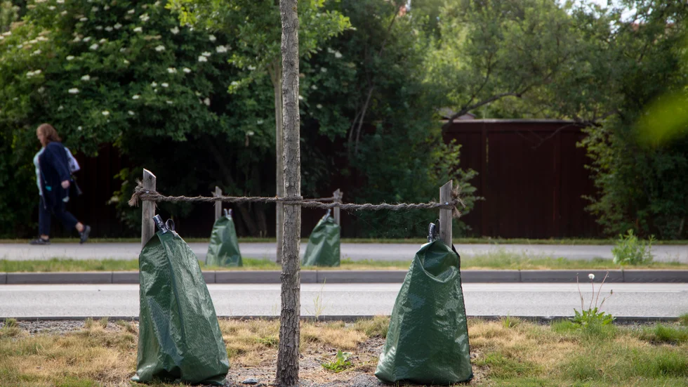 "Vem har ansvaret för att påsarna fylls med vatten?"
