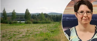 Älvsbyn satsar på ny slåtteräng • Drygt 400 000 kronor till projektet