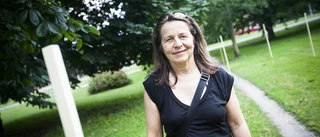 Rinmansparken får ljuskonstverk