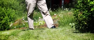 "Kan jag hjälpa svårt sjuka människor att få livet tillbaka är det värt att bli jagad"