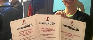 Sörmland är serielänet