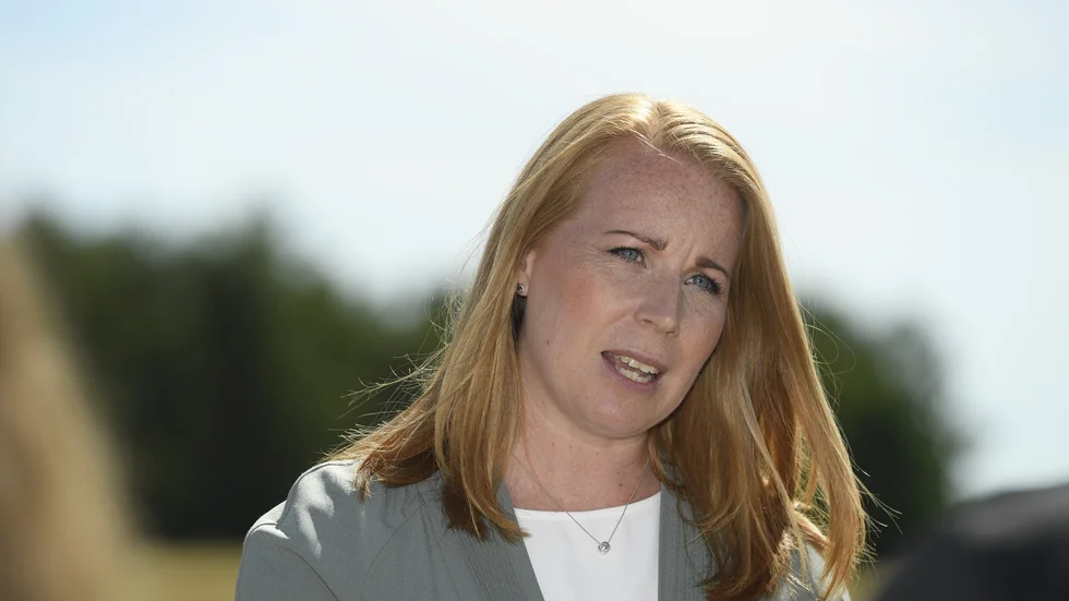C:s partiledare Annie Lööf vill gynna småspararna genom att göra de första 300|000 kronorna på ISK-konton skattefria. Arkivbild.