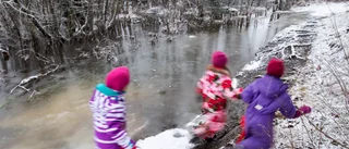 Orimligt när bara barn vågar vårda miljön