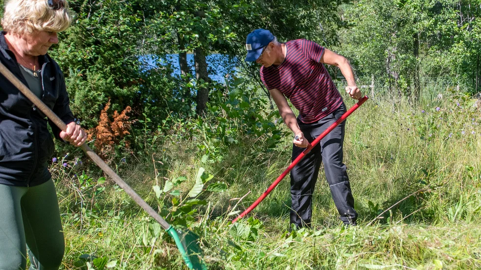 Anette och Anders Abrahamsson från Butbro var med för första gången. Det är viktigt att bevara det öppna landskapet tyckte de.