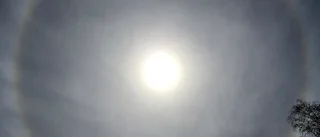 Halofenomen i Vingåker