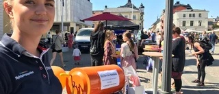 Turista hemma -dagar hade tur med vädret