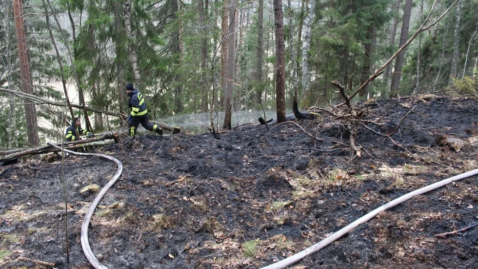 En brand uppstod vid utegymmet i Lötbodalsskogen under måndagsmorgonen. Det är dock oklart om den har något samband med bränderna som skedde senare på måndagskvällen där två personer anhölls misstänkta för mordbrand. De har nu släppts men misstankarna kvarstår.