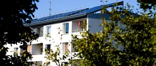 Replik: Köreglerna utformas med hänsyn till alla sökande