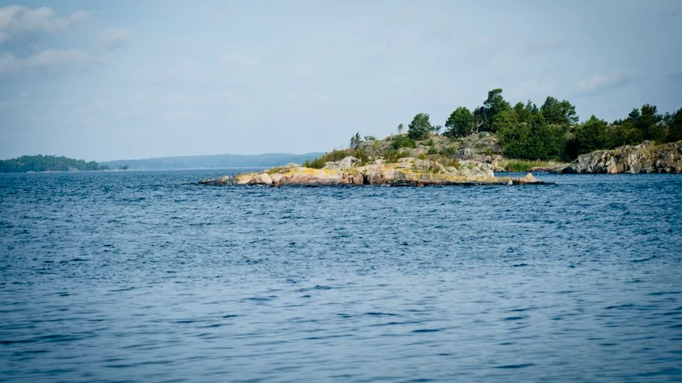 Den marinbiologiska inventeringen av Östersjön pågår under september-oktober mellan Rågö och Trosa.