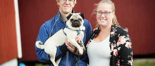 Vardagshjältar tvekade aldrig