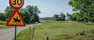 Nu asfalteras vägarna i Stjärnholm