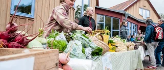 Fynd och skådespel på Fåfängan