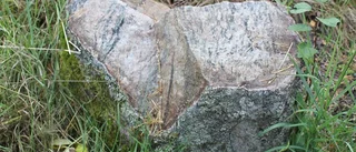 Vandaliserad domarring ska återställas