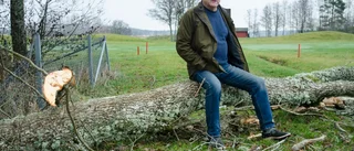 Ingen ersättning för nedfallna träd – nu börjar golfklubben lessna