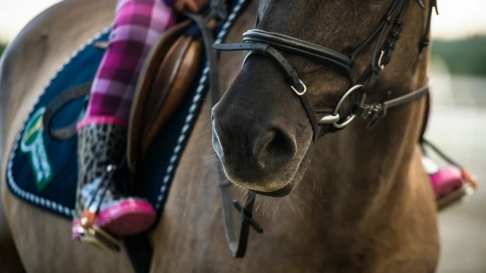 Får man verkligen rida hur och var som helst, frågar sig insändar­skribenten. FOTO: SANDRA NORDIN