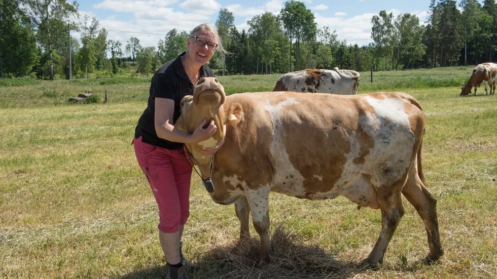 Maj månads torka har gjort att djuren på Anna Brodéns gård producerar mindre mjölk. Dessutom blev hon tvungen att slakta några djur under vintern eftersom det varit torrt flera år på raken.– Det är klart att vi blir oroliga när prognoserna fortfarande inte visar regn, säger hon.