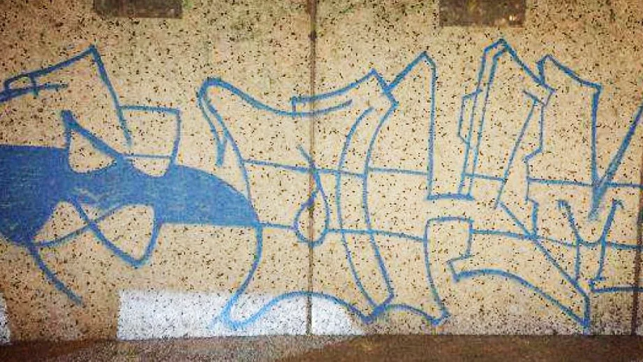 Polisen upptäckte de båda unga männen när de klottrade i en vägtunnel.