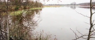 Promenera in det nya året i Vingåker