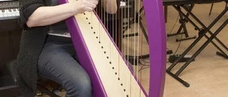 Udda instrument blir allt vanligare