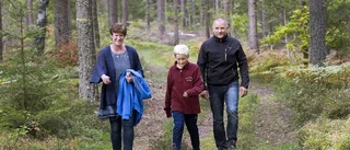 Bland gårdsbutiker och kosafari