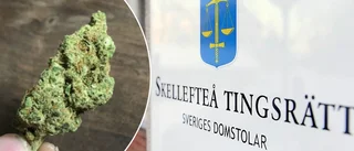 Förvarade över ett halvt kilo cannabis i hemmet • Två unga män döms till fängelse – och förlorar sina jobb