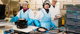 Platschefen gillar ordning och reda