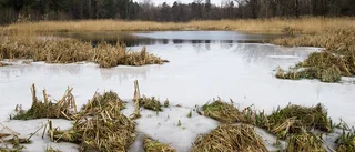 Här ska natur sparas när Oxelösund växer