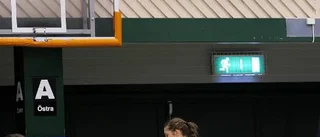 Förnedringen