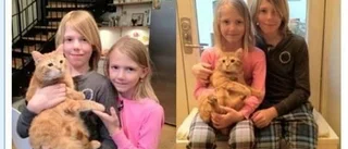 Hittekatten Banarne har hittat tryggheten