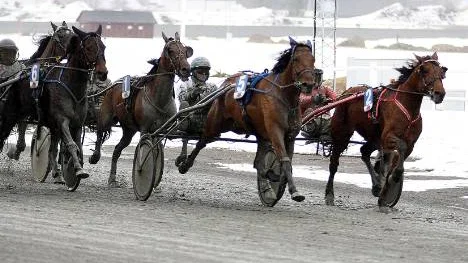 Enda riktiga överraskningen under lunchtravet kom i V4-2. 11-oddsaren Västerbo Mission och Leif Eriksson har slagit klorna i ledande E.V.Mace invändigt och håller säkert undan i tät slutstrid.