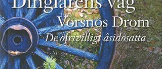 Fokus på romer och resande