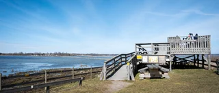 Fåglarnas Östergötland – här är fem platser du inte får missa