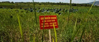 Vietnamkriget – 40 år efteråt