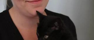 Emma adopterade tre katter