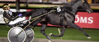 Opal Viking trea i Italien