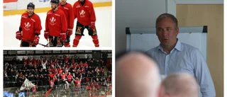 Hästens vd talar ut efter konkursen: "Har inte mörkat nånting"