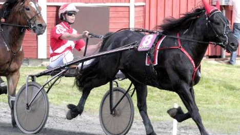 Edolles Malte tog en säker seger för Ingela Eriksson i V5-3. Nu satsar Ingela på att bli proffstränare på Peabtravet.