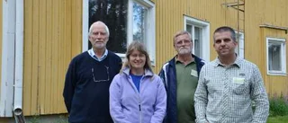 Fågelforskare studerar tornseglare med ljusloggar i Dokkas