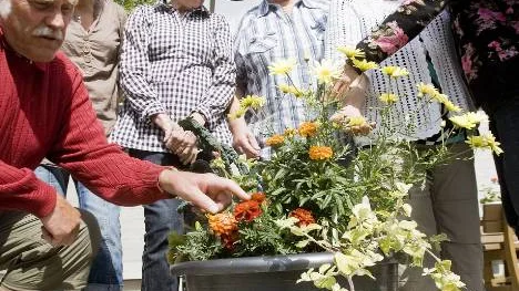 Goda grannar. De boende på Valörvägen i Luleå hjälps åt med att sköta gårdens många blomkrukor.FOTO: Jonas Lindsköld