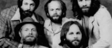 En spillra av Beach Boys