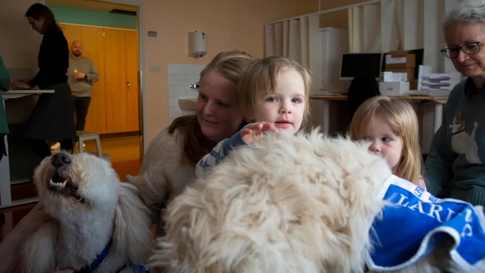 Mamman Sarah Björklund och hennes son Vincent tillsammans med sjukhushundarna Luna och Leona. Till höger lillasyster Meya som också haft stor glädje av hundarna som anhörig. 