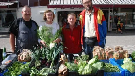 Mera grönt i Boden. Försäljarna Ulf Johansson, Gullan Pettersson, Agneta Johansson och Hans Pettersson hoppas att bodensarna ska hitta till grönsakstorget. "Grönsakerna vi odlar är inte besprutade utan naturligt uppdrivna."