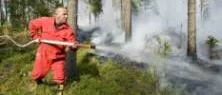 Värmen kom - och i skogen tog det eld