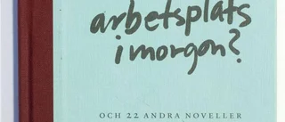 Städare på US skriver i novellantologi