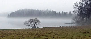 Stor risk för regn i helgen