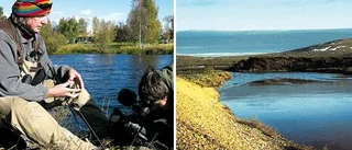 Westrin huvudperson när fiskefilmer spelas in i Norrbottensfjällen