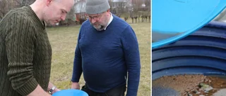 Guldfynd i skogen öppnar för ny turistattraktion
