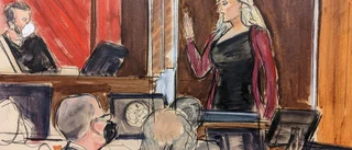 Bakgrund: Trumps affärer med Stormy Daniels
